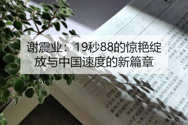 谢震业：19秒88的惊艳绽放与中国速度的新篇章